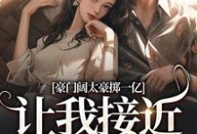 无删减版《豪门阔太豪掷一亿，让我接近她儿子》在线阅读-薯片文学