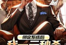 林帆小说在哪里可以看-薯片文学