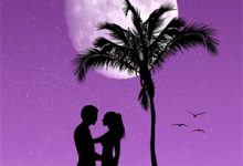 女主:苏沫男主:冷萧小说在线章节免费阅读（梦回前世当太子妃无弹窗无删减）-薯片文学