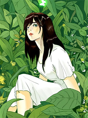 云本无心风起意章节免费在线阅读，傅璟林妍完结版