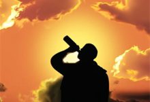 寒戈辞云向朝阳沈寒戈谢云辞小说免费阅读-薯片文学